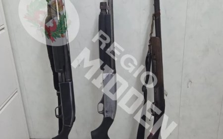 Politie Rijsdijk stuit op drie illegale geweren na melding van huiselijk geweld