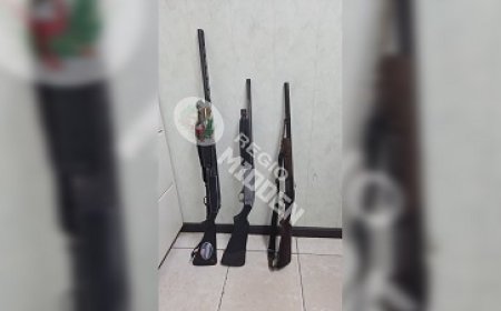 Politie stuit op illegale wapens bij melding huiselijk geweld