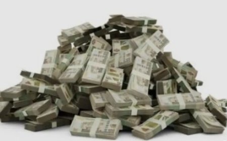 Rentekosten TD-veilingen rond SRD 6,7 miljard