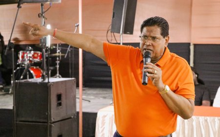 Perikelen rond de VHP