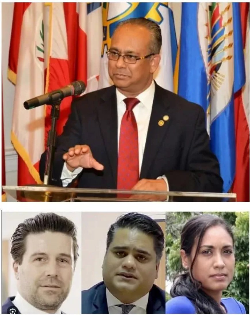 SLM-onderzoek opent nieuwe lijnen: rol van ex-minister, politieke toevalligheden en diplomati