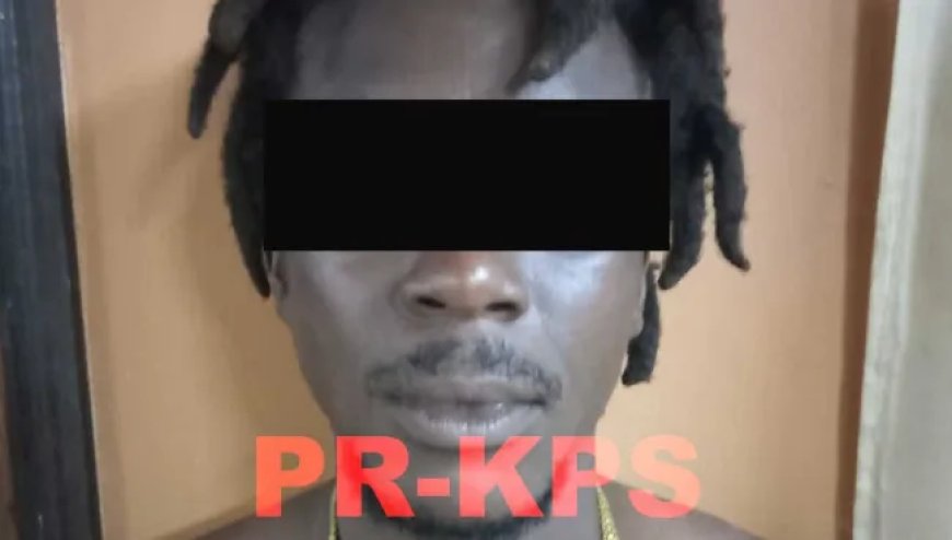 29-jarige goudzoeker opgepakt voor beroving en mishandeling ex-vriendin te Snesi Bergi