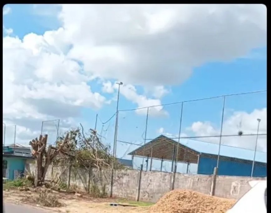 Burgers bezorgd over verwijderde bomen bij scholen: “Onze kinderen verliezen hun natuurlijke 