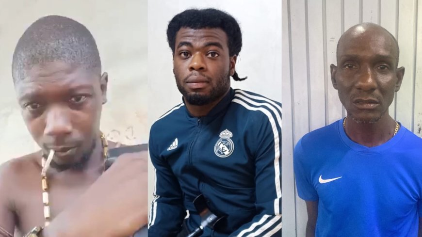 Drie arrestanten verdwijnen spoorloos uit cellenhuis Meerzorg