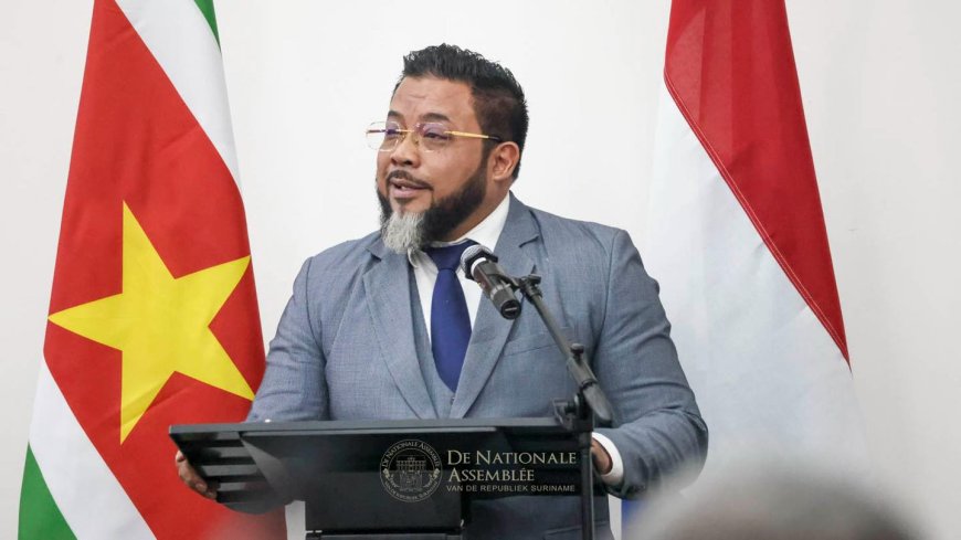 Protocol, staatsorde en representatie: waarom het optreden van Somohardjo tijdens het staatsb