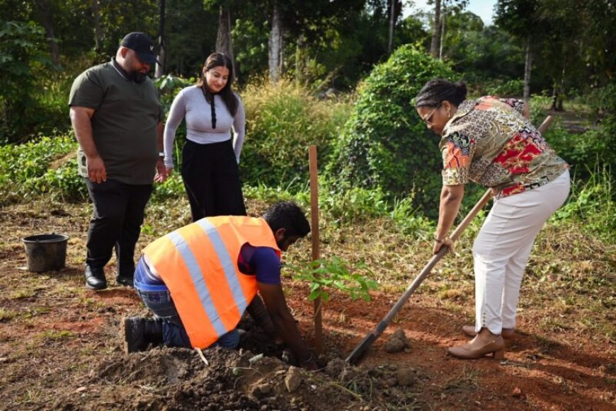 Suriname markeert 50 jaar VN-lidmaatschap met symbolische boomplantceremonie