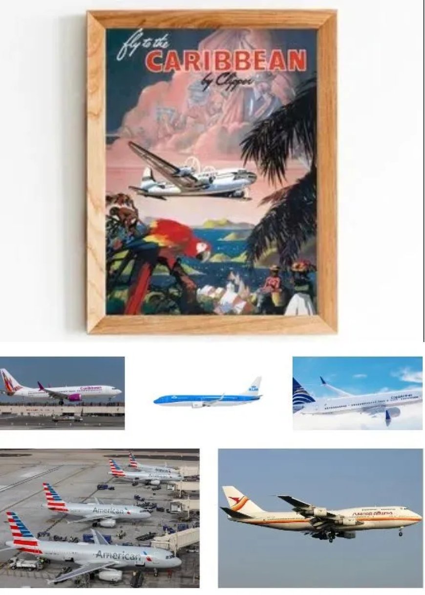 Simons wil luchtvaartproblemen bespreekbaar maken met Nederland 