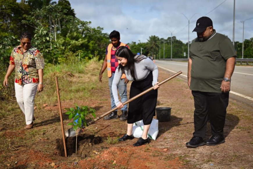 Suriname viert 50 jaar VN-lidmaatschap met Tree Planting Ceremony