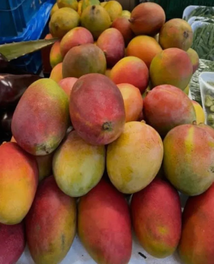 LVV gaat plantmateriaal van rood borstje manja aanmaken om teelt voor export te stimuleren