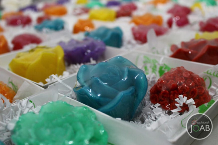 SURGE-programma geeft groeikansen aan creatieve bedrijven in Suriname