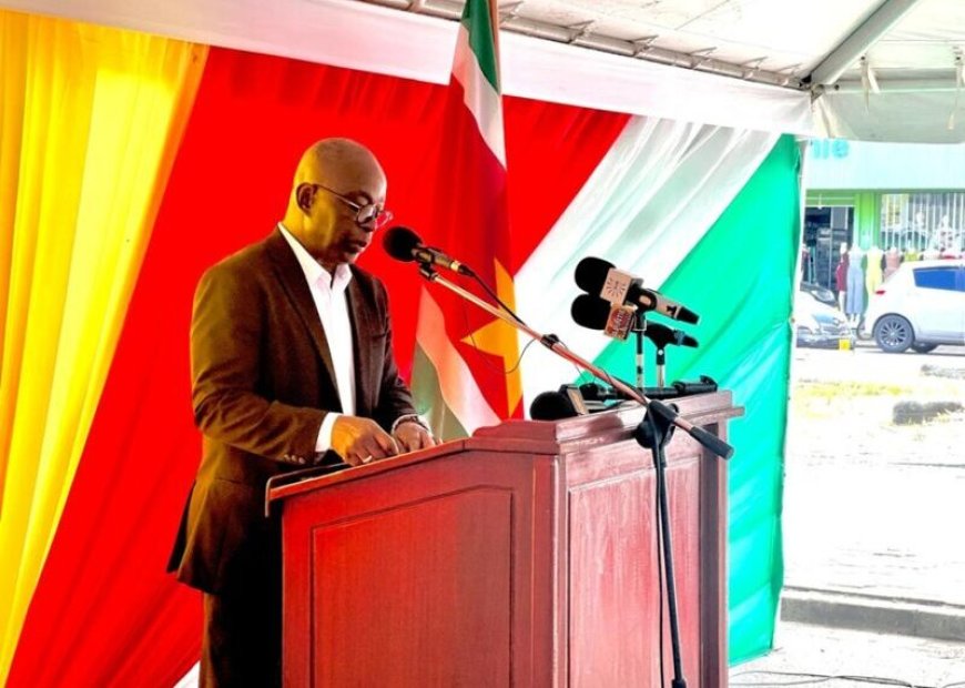 Henri Frans de Ziel Stichting pleit voor instelling van een Nationale Raad voor Cultuur