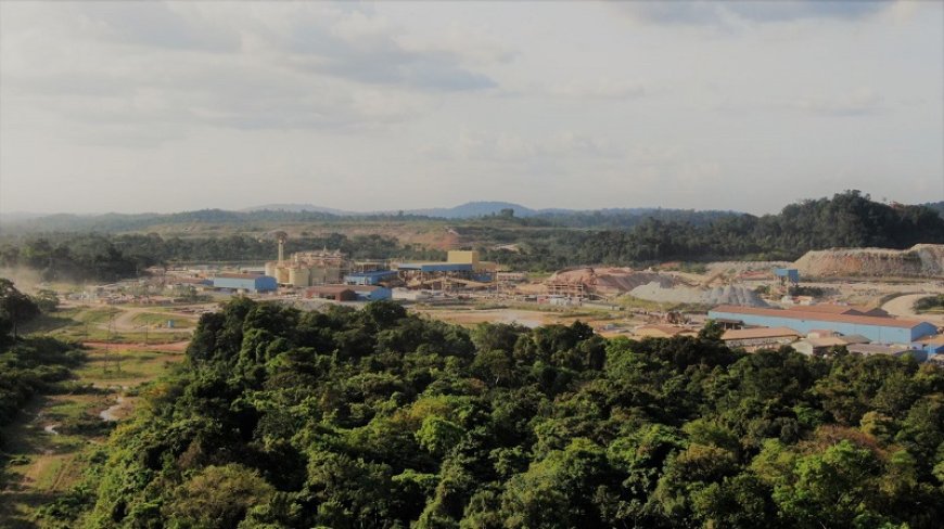 Voorbereidingen bestuursverkiezing Rosebel Goldmines in volle gang