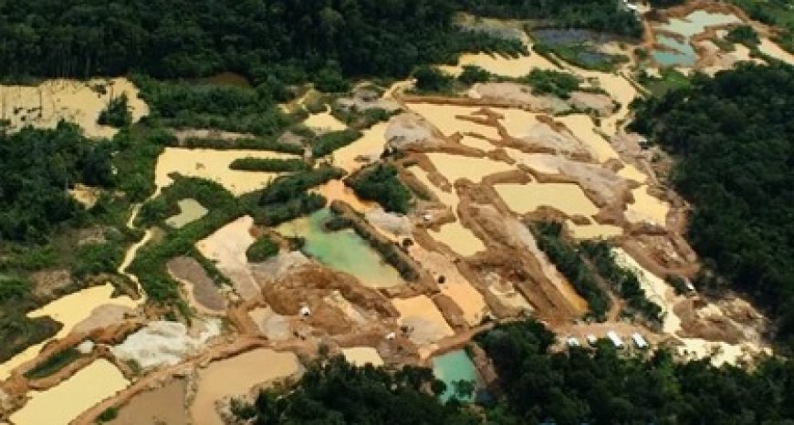 Illegale goudwinning: druk en dreiging op beleidsmakers bemoeilijkt optreden