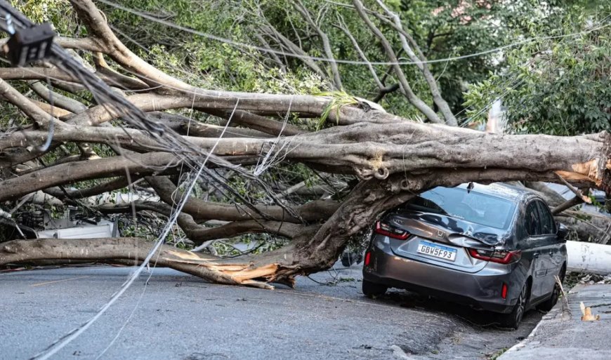 Honderden vluchten geannuleerd door stroomuitval: 1,4 miljoen mensen in Brazilië zonder stroo
