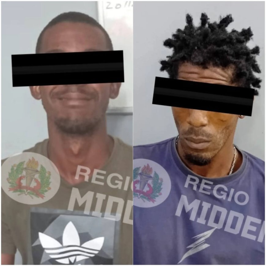 Twee mannen op de vlucht aangehouden voor woninginbraak Hollandse Kamp