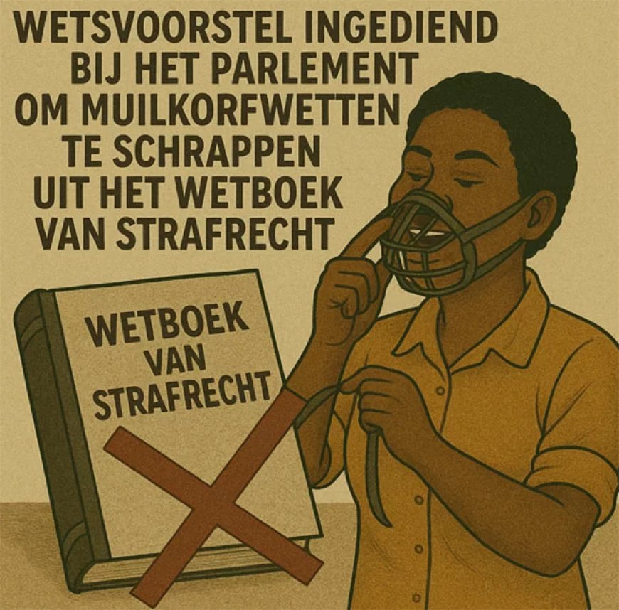 Initiatiefwet: ‘muilkorfartikelen’ schrappen uit strafrecht, vrije meningsuiting centraal