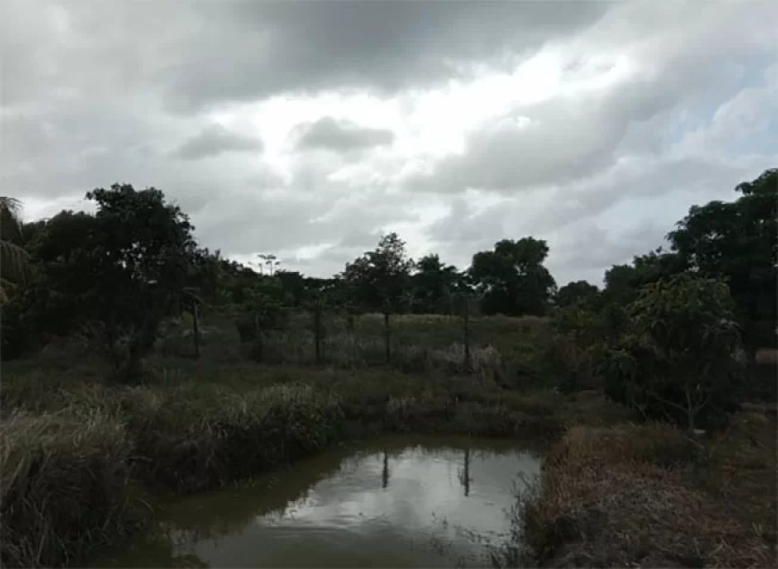 Nieuwe wet moet Surinaams natuurbeheer moderniseren
