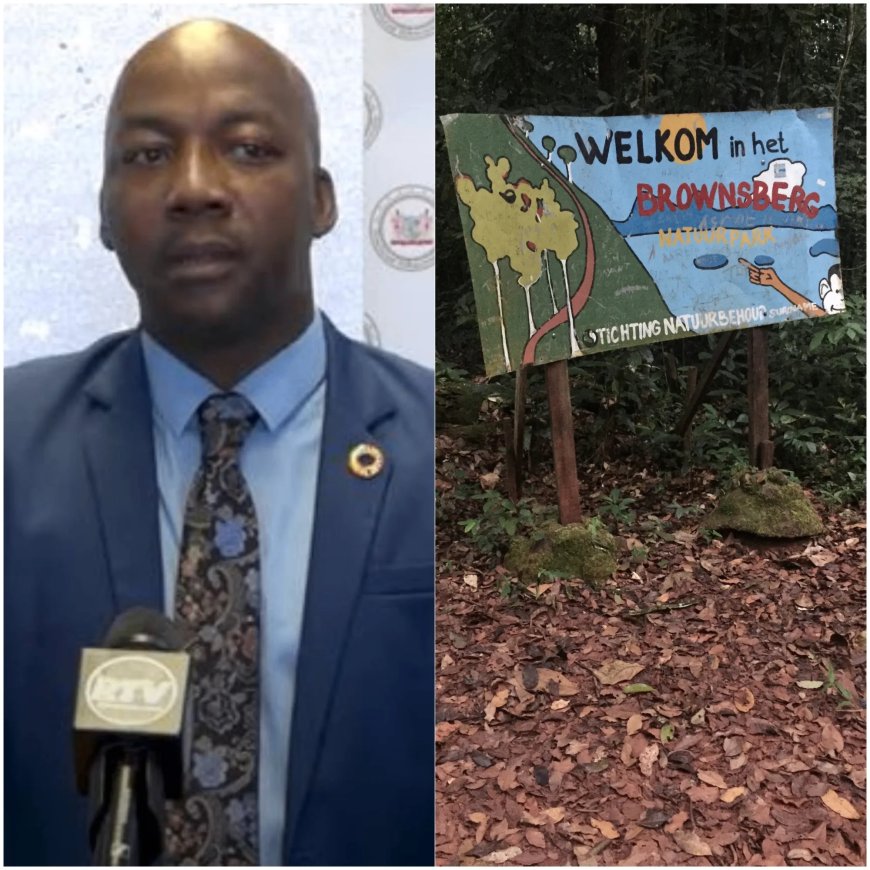 Stoere taal Abiamofo heeft nooit geleid tot oplossing problemen Brownsberg Natuurpark