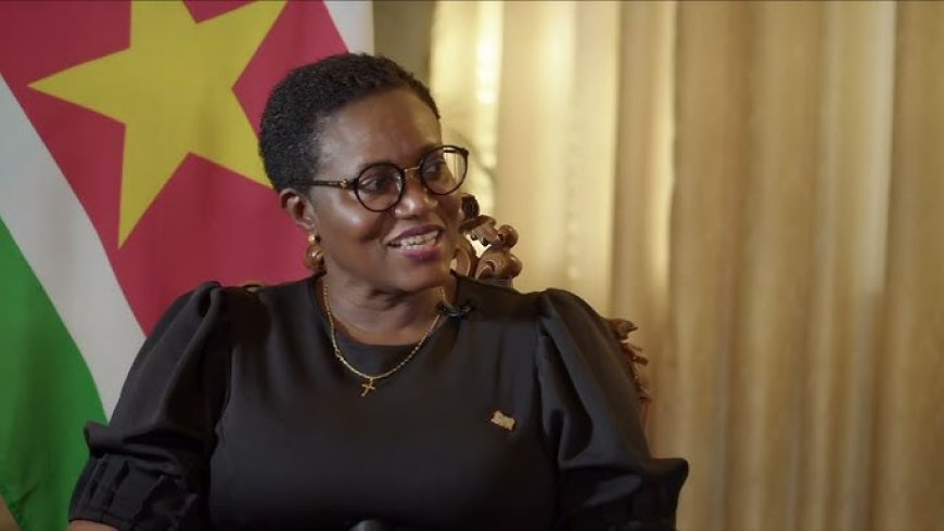 Minister Wijnerman onthoudt zich van oordeel over uitspraken SEOB