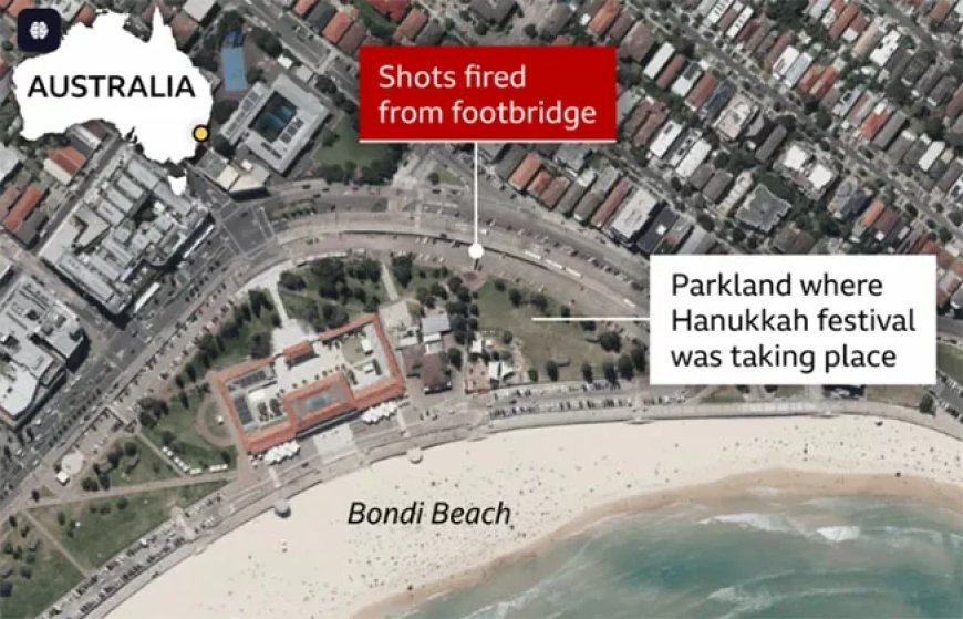 Terreur tijdens Chanukah-viering: rouw, heldendom en zorgen over antisemitisme