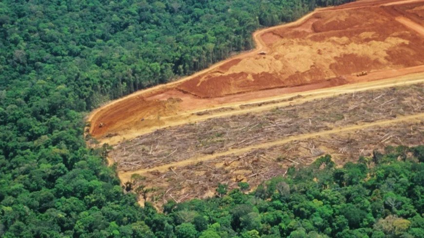 Waar het initiatiefvoorstel Wet Duurzaam Natuurbeheer tekortschiet tegenover bestaande verdra