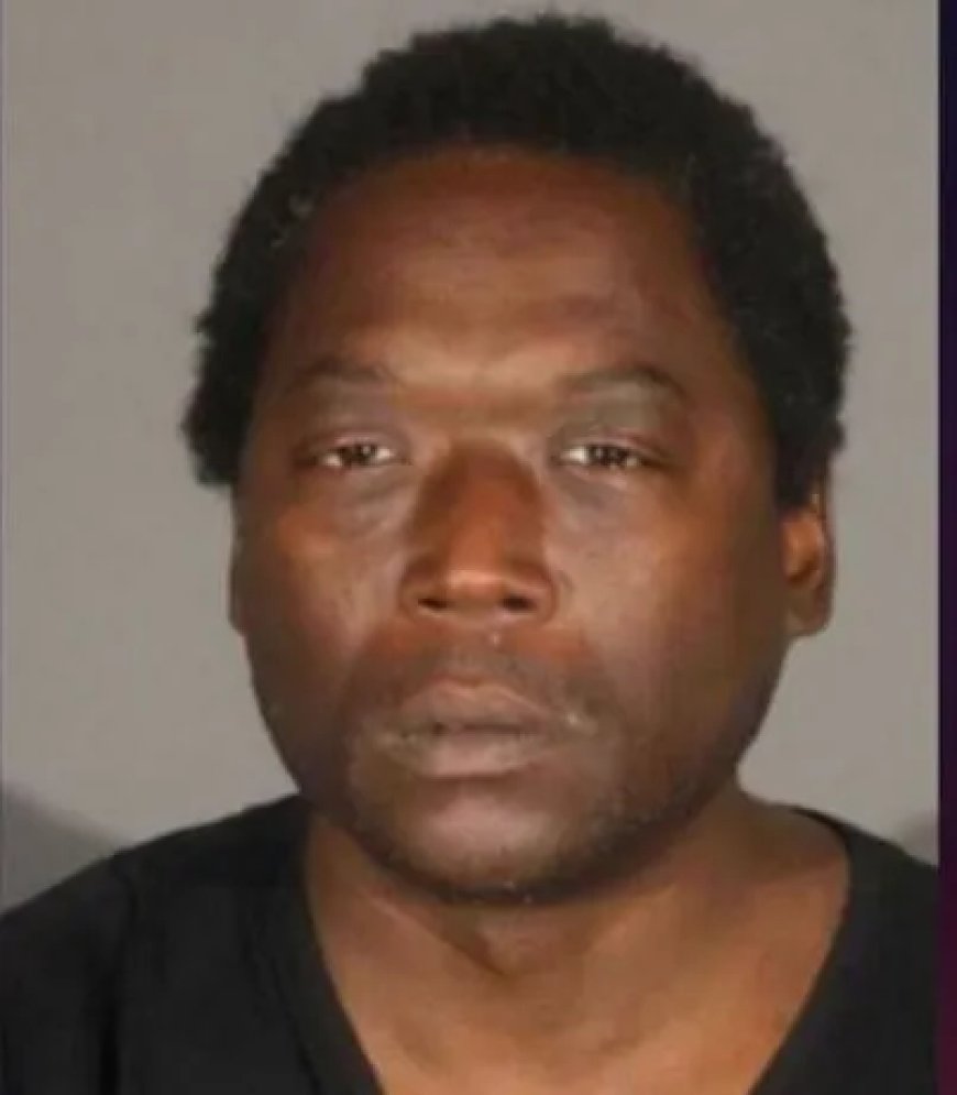 Verbannen metroreiziger krijgt levenslang na dodelijke steekpartij in Los Angeles