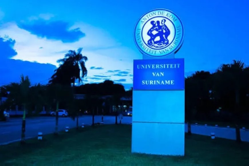 Debat over kleine aandeel hoogopgeleiden in Suriname laait op