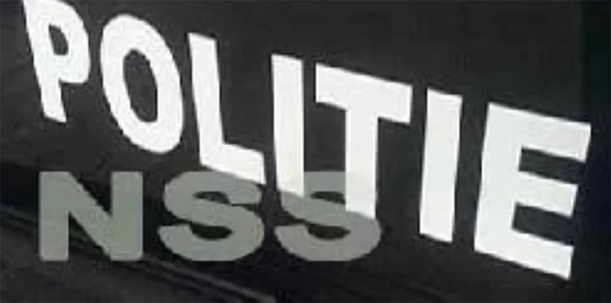 Verdachte die toeristen beroofde nabij Palmentuin, aangehouden