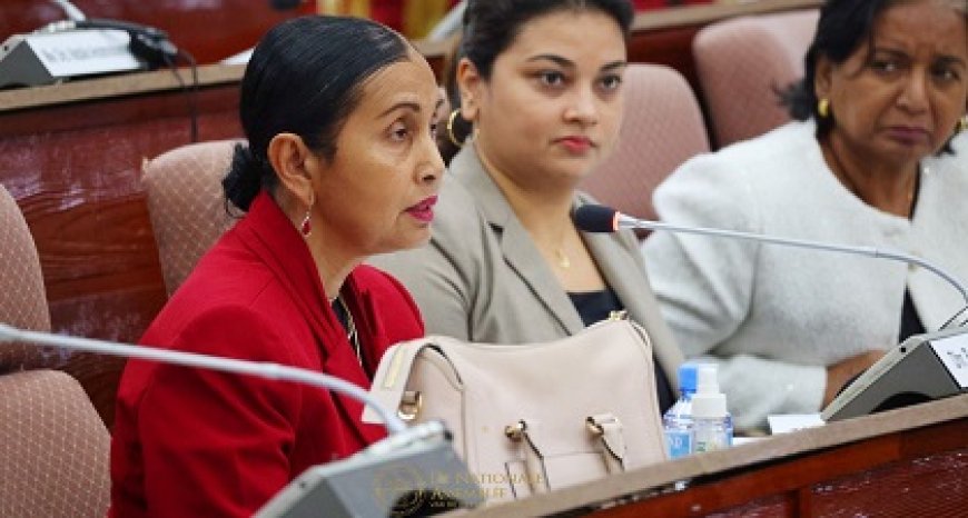 DNA hoort HvJ en PG over initiatiefwetten rechterlijke macht