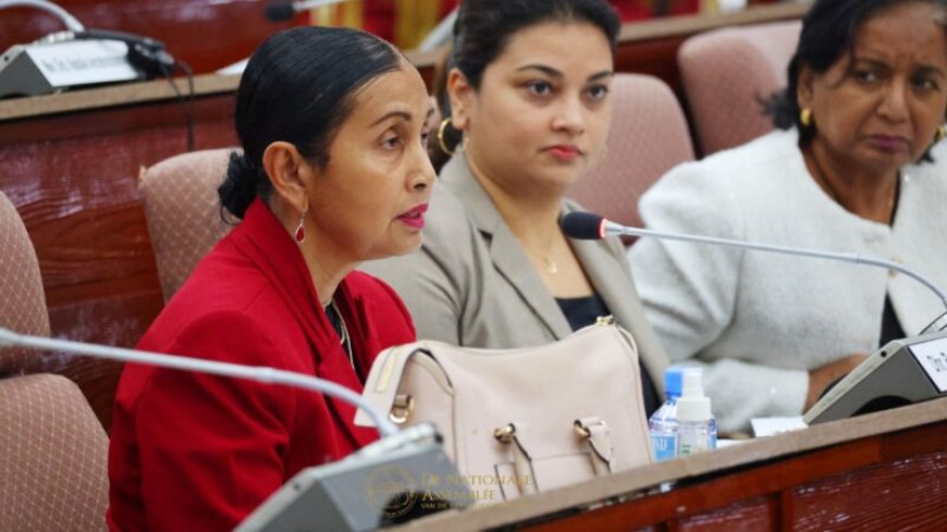 DNA-leden plegen overleg met hofpresident en procureur-generaal