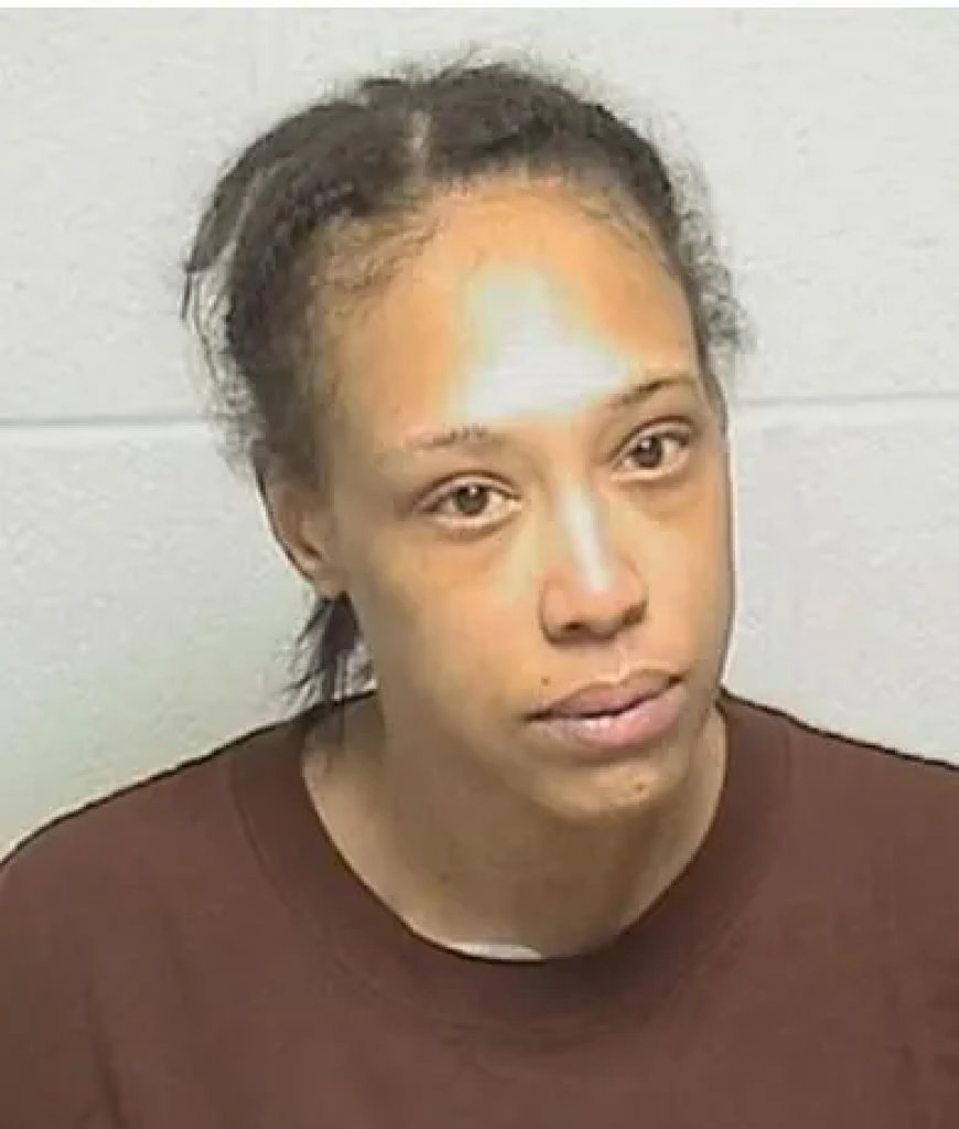 Illinois-moeder bekent schuld aan moord op 6-jarige zoon na ‘brutale’ dood