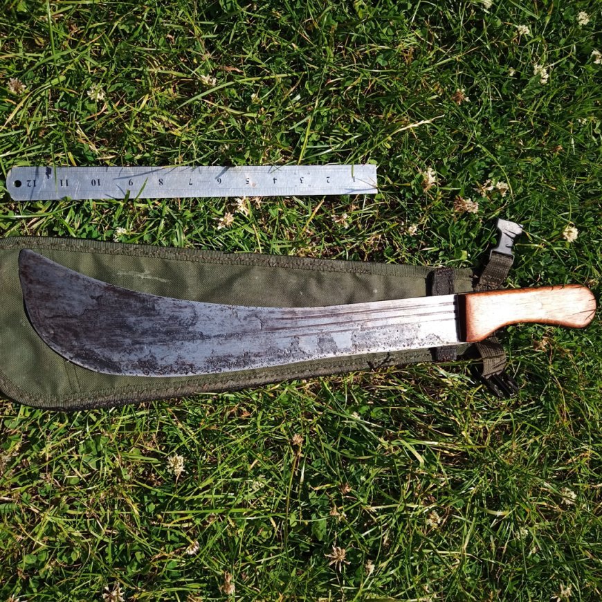 GEWELD OP SCHOOL IS GEEN KATTENKWAAD