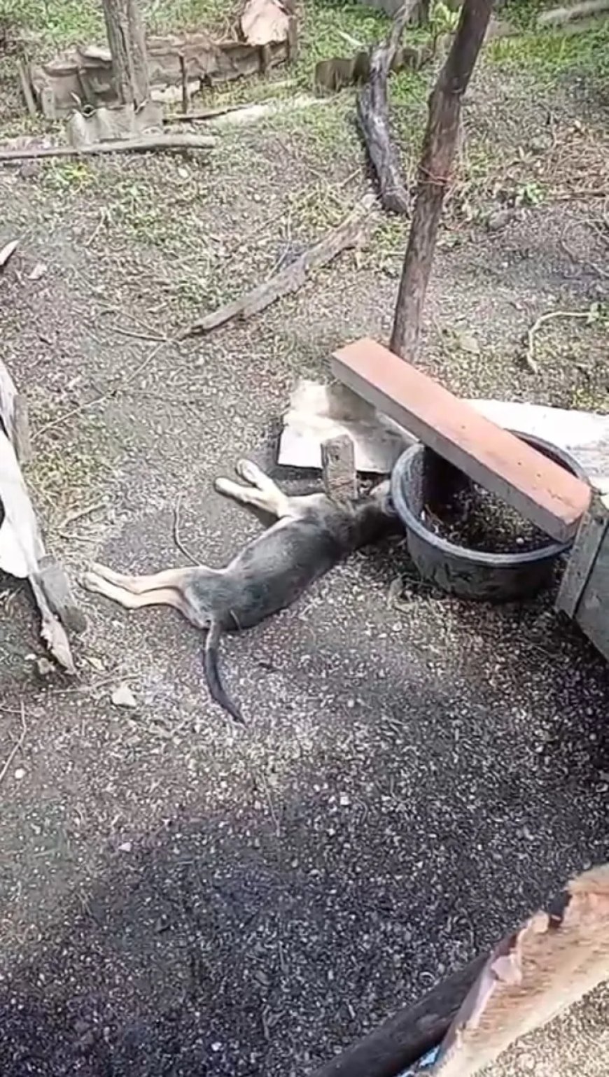 Criminelen sparen trouwe vrienden niet