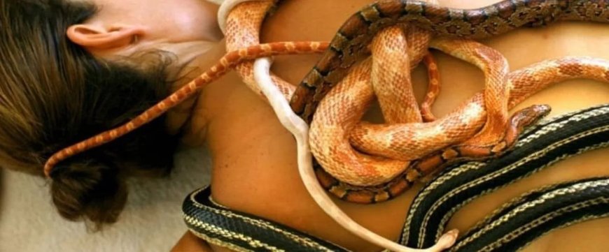 Bijzondere spa in Jakarta masseert klanten met slangen