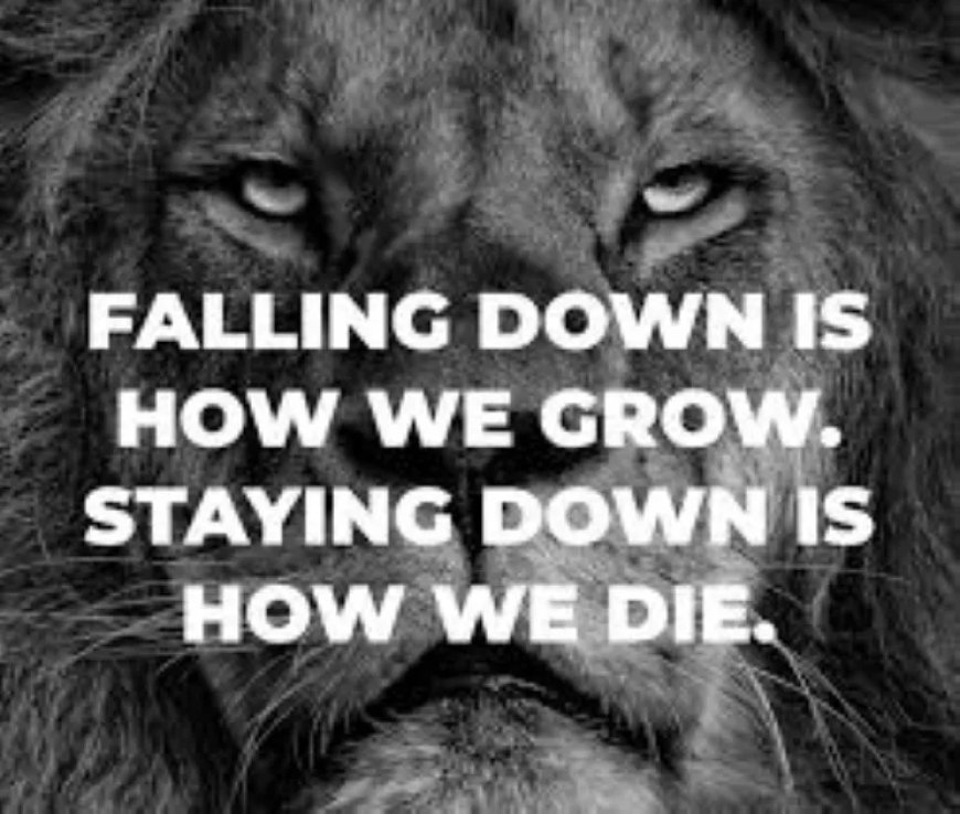 De les is niet geleerd