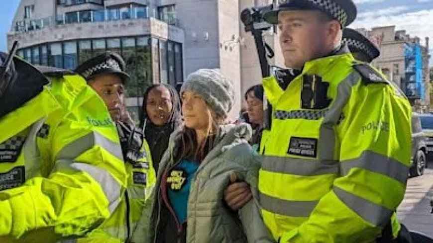 Greta Thunberg opgepakt bij pro-Palestijnse protest in Londen