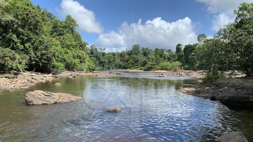 Breaking: Twaalf goudconcessies uitgegeven in Boven-Suriname