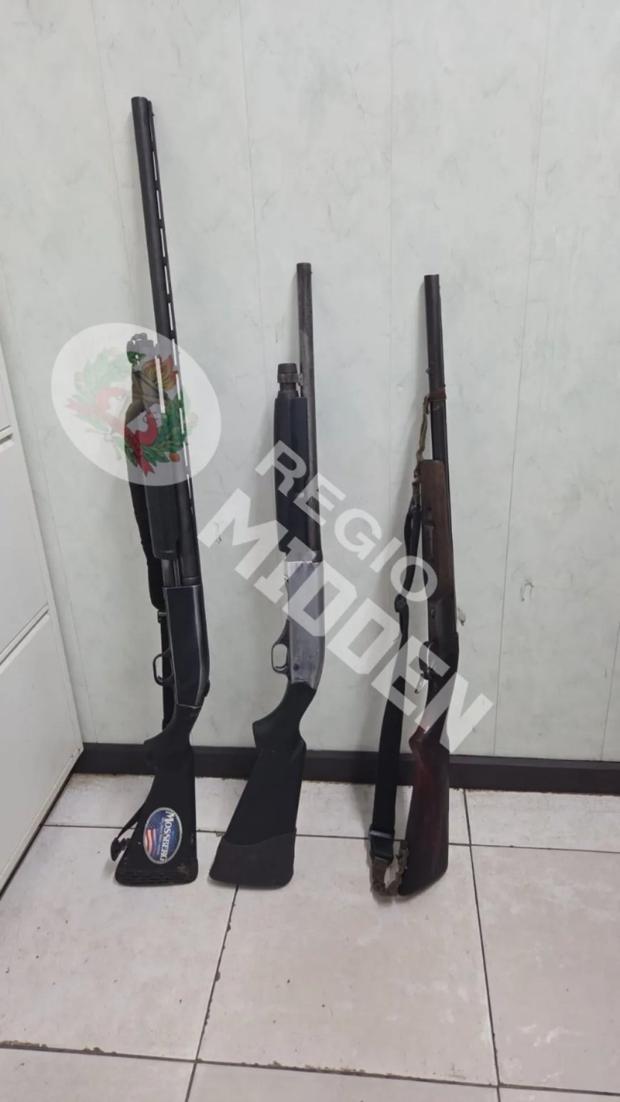 Politie Rijsdijk stuit op drie illegale geweren na melding van huiselijk geweld