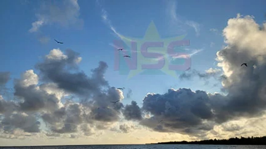 Gedeeltelijk zonnig met kans op een bui