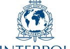 Interpol: 200 arrestaties in Suriname en buurlanden bij illegale goudwinning