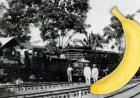 WIST U DAT: Honduras de eerste bananenrepubliek was?