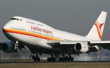 Ontslagen SLM-directieleden misleidden president met onjuiste cijfers