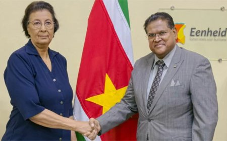 Politieke transitie, economische uitdagingen en toekomstperspectief