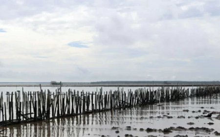 Klimaatrampen troffen afgelopen jaar miljoenen mensen en kostten miljarden dollars