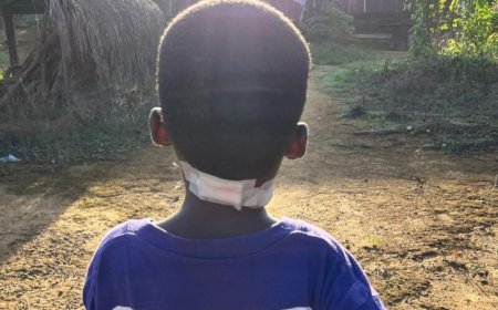 Achtjarige jongen aangevallen en verwond door poema