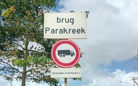 Brug Parakreek vandaag volledig dicht: verkeer urenlang omgeleid