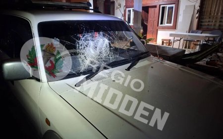 Drugsverslaafde opgepakt voor vernielen auto’s bij zijn tante