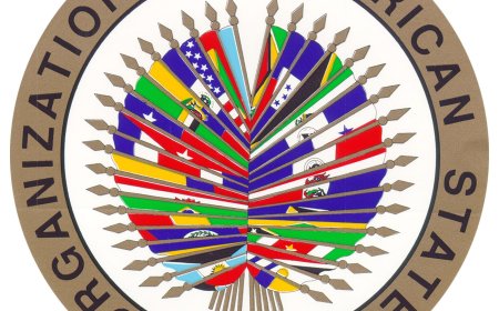 Verklaring OAS over ontwikkelingen in Venezuela