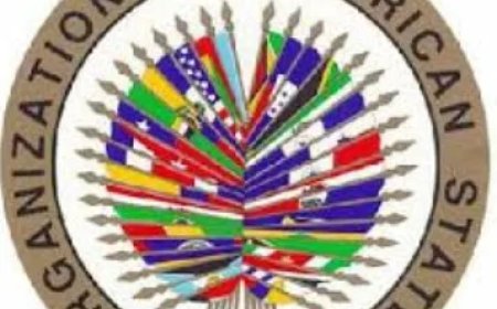 OAS roept op tot de-escalatie en respect voor internationaal recht