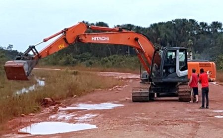 GRAAIEN IN WEST-SURINAME